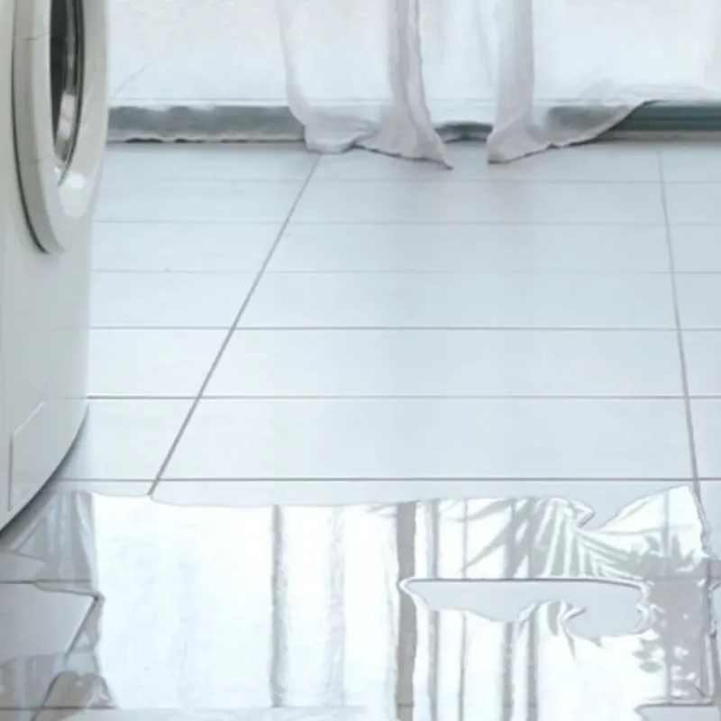 Appliance Leak Cleanup in Belle, WV