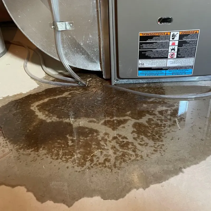 Pipe Burst and Leak Restoration in Belle, WV